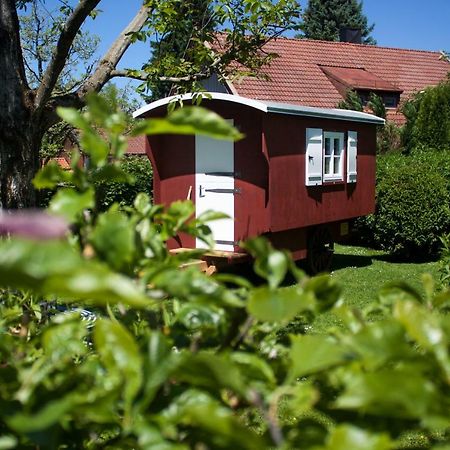 Appartamento Haus Am Salinenweg Grassau  Esterno foto